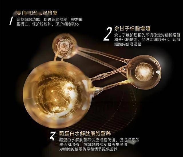蓝莓外汇平台怎么代理轻松理解量化交易的真谛，掌握理财新动向！
